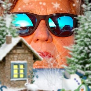 Meet your Posher, Donna